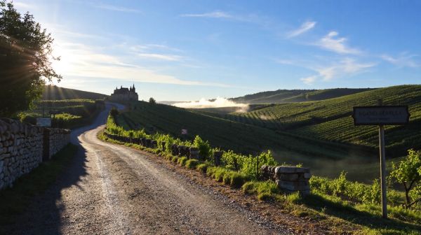 Découvrez les meilleurs arrêts sur la route des grands crus de Bourgogne