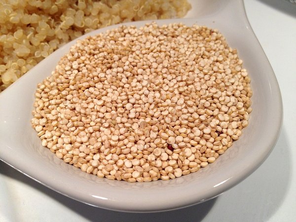 Le quinoa : des petites graines aux multiples vertus